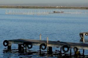 Giner exige a Ribó frenar el desastre medioambiental que se está produciendo en la Albufera