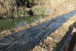 Teulada actúa en el Senilar para garantizar el refugio y cría de aves acuáticas