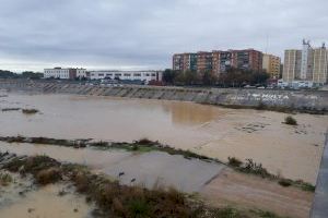 El PP exige a Ribó deje de gastar en "proyectos utópicos" como el parque del nuevo cauce y dote de ayudas a los que sufren la crisis del COVID 19