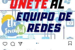 Rebeldía PV denuncia "la precarización y subcontratación encubierta" del área de juventud del Ayuntamiento de Elche