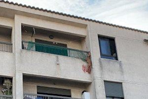 Deixen en llibertat amb càrrecs al presumpte maltractador de gossos de Bellreguard - (foto 5)