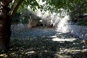 Executats els treballs de neteja de la zona inundable del parc de Sonitas de Godella - (foto 2)