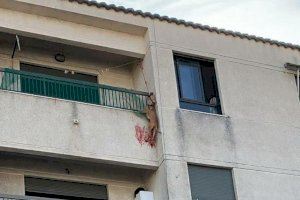 Deixen en llibertat amb càrrecs al presumpte maltractador de gossos de Bellreguard