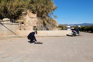 Benaguasil vigilará los robos en los campos con un dron