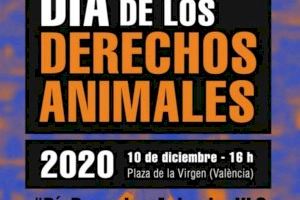 Animalistas convocan una acción en la capital valenciana por el Día Internacional de los Derechos de los Animales