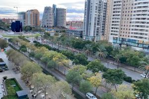 Herido el conductor de un patinete tras chocar contra un autobús en Valencia