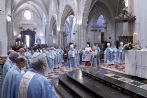 El Cardenal pide la intercesión de María en la fiesta de la Inmaculada para “avanzar por los caminos del progreso sin traicionar nuestra identidad”.