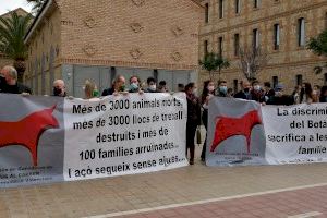 Ramaders de bous a al carrer es manifesten en camions per València per a denunciar "l'abandonament" del Consell - (foto 4)