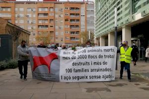 Ramaders de bous a al carrer es manifesten en camions per València per a denunciar "l'abandonament" del Consell - (foto 3)