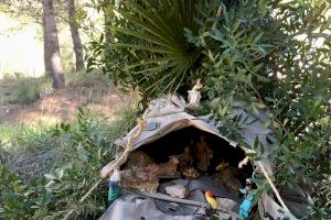 La Creu del Cardenal acull el Betlem del MUMA - (foto 2)