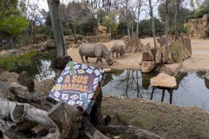 BIOPARC seleccionado para el juego “A sus marcas” - (foto 2)