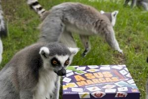 BIOPARC seleccionado para el juego “A sus marcas”