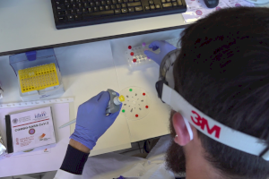 La UPV desarrolla una prueba que detecta el COVID-19 en menos de media hora y cuesta solo dos euros - (foto 3)