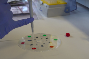 La UPV desarrolla una prueba que detecta el COVID-19 en menos de media hora y cuesta solo dos euros - (foto 4)