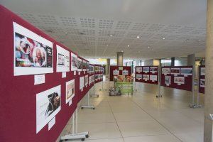 La UJI entrega los premios del concurso de tarjetas navideñas