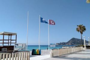 Las playas de Altea renuevan sus certificaciones de calidad
