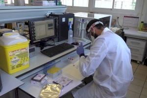 La UPV desarrolla una prueba que detecta el COVID-19 en menos de media hora y cuesta solo dos euros - (foto 2)