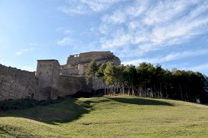 Viles en flor renueva las tres flores de Morella