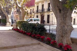 València planta 5.500 flores de pascua en diferentes jardines de la ciudad