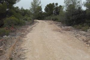 La Font de la Figuera realiza cuatro actuaciones en el marco del Programa Gestión Forestal Sostenible 2019