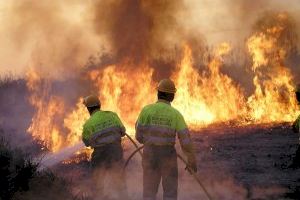 Transición Ecológica aprueba durante el año 2020 Planes Locales de Prevención de Incendios Forestales en 103 municipios de la Comunitat Valenciana