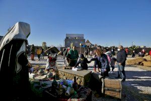 Los Reyes Magos de Oriente llegan a Torrevieja para comenzar a recibir visitas en su Campamento Real instalado en el puerto pesquero - (foto 8)