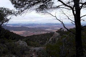 ‘Villena Viva’ acerca los parajes naturales de Villena de una forma divertida