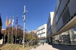El Ayuntamiento de San Vicente debatirá en el pleno de enero la aprobación del Plan Anual de Contratación para 2021 El Ayuntamiento de San Vicente debatirá en el pleno de enero la aprobación del Plan Anual de Contratación para 2021
