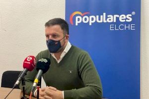 El PP solicita ayudas directas al sector de la Palma Blanca tras la suspensión de la Semana Santa