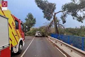 El viento deja los primeros sustos en la Comunitat y se pide a la población extremar las precauciones