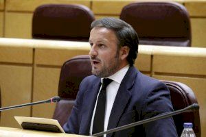 El PP de Elche denuncia que PSOE y Compromis rechazan la moción de los populares para establecer ayudas directas a la hostelería