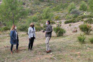 Benicàssim actúa en las urbanizaciones de montaña para la prevención de incendios forestales