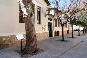 Benetússer pone en valor su naturaleza urbana para celebrar el Día del Árbol