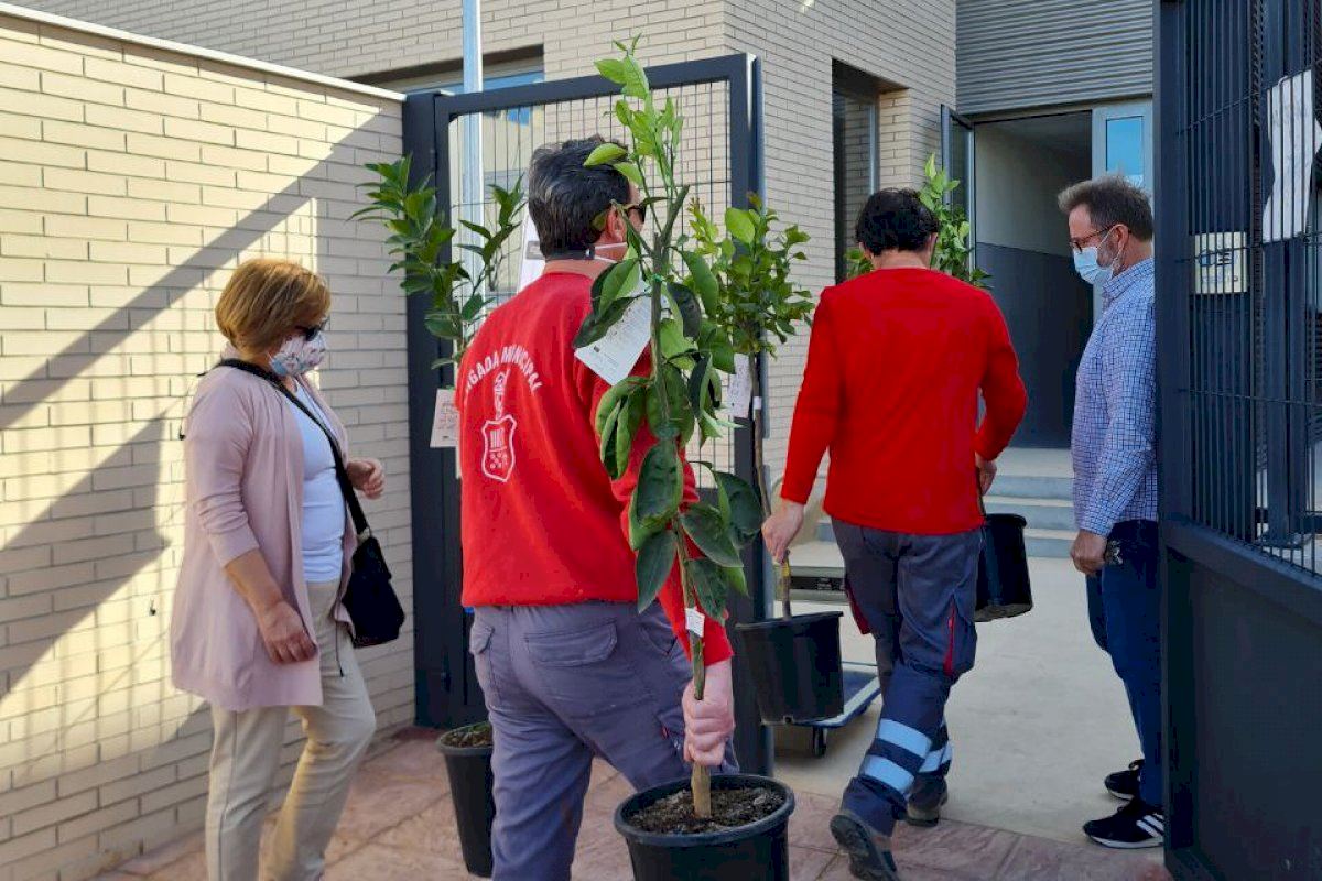 Rafelbunyol celebra el Dia de l'Arbre