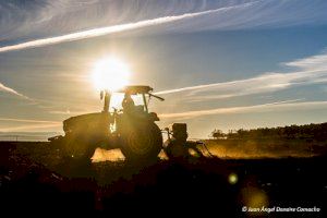 El Ministerio de Agricultura, Pesca y Alimentación destinará un millón de euros a la formación práctica de los jóvenes agricultores en explotaciones modelo