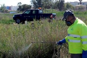 Nules renueva el tratamiento aéreo contra los mosquitos