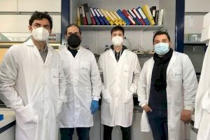 Un estudio del IBV encuentra el mecanismo por el que algunos medicamentos utilizados contra la enfermedad de Alzheimer causan efectos secundarios