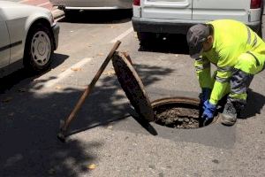 Valencia refuerza los tratamientos contra ratas y mosquitos tras las quejas de los vecinos de La Punta