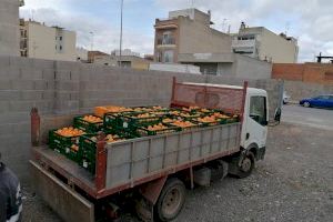 Nules recupera 700 kilos de naranja robada