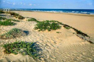 Fresno Films rueda en Canet Playa una cuatrilogía de cortometrajes