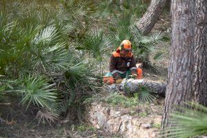 Las brigadas forestales de la Diputació de València colaboran con la UPV para optimizar los trabajos de prevención de incendios