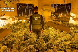 Cuatro detenidos en Castellón y La Pobla Llarga por cultivo y tráfico de drogas