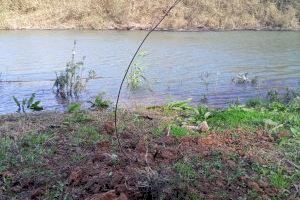 Quart de Poblet impulsa sus espacios naturales a través de un proyecto de regeneración ambiental