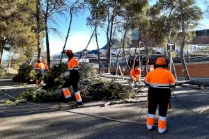 Alcoy destinará medio millón de euros para fomentar planes de empleo en 2021