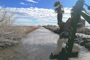 Valencia draga 11 kilómetros de canales en la Albufera 48.000 metros cuadrados de vegetación