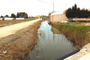 Valencia draga 11 kilómetros de canales en la Albufera 48.000 metros cuadrados de vegetación - (foto 2)