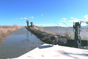 Valencia draga 11 kilómetros de canales en la Albufera 48.000 metros cuadrados de vegetación - (foto 3)