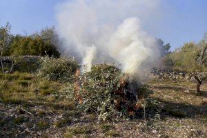 La Vall d’Uixó da continuidad al servicio telefónico iniciado en pandemia para solicitar el permiso de quemas agrícolas