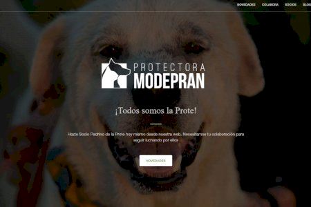 La protectora de animales Modepran gestiona la recogida de animales abandonados en Sedaví