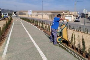 El Ayuntamiento acomete varias actuaciones de mejora y mantenimiento de espacios públicos